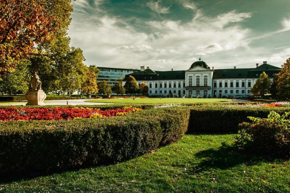 Dagmar * Pressburg